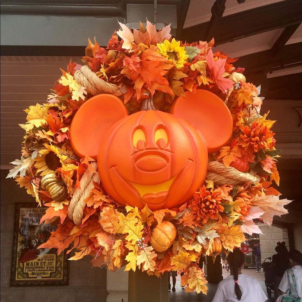 Happy Fall!!! 🌻🌼🍁🍂🍁🌼🍂🌻