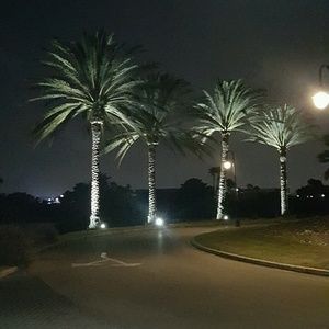 Meet your Posher, Sanela