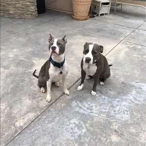 Meet your Posher, Julie