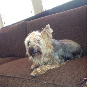 Meet your Posher, Crystal