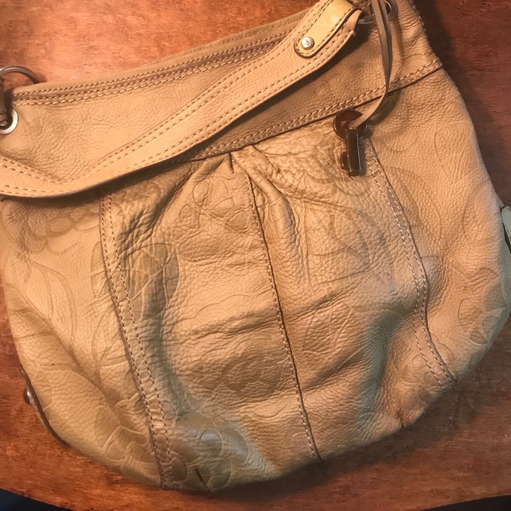 Large Fossil Purse