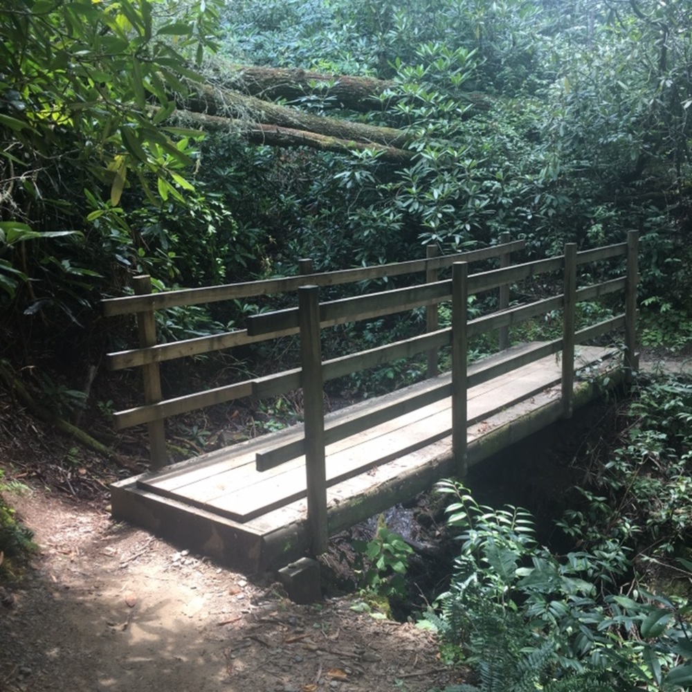 Meet your Posher, Candice