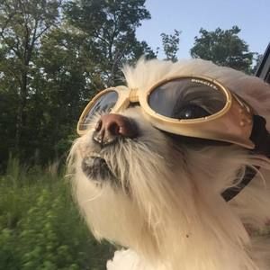 Meet your Posher, Pam