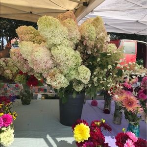 Meet your Posher, Olivia