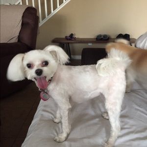 Meet your Posher, Michele