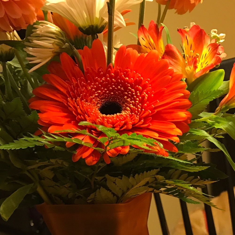 Meet your Posher, Angela