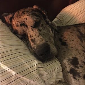 Meet your Posher, Tina