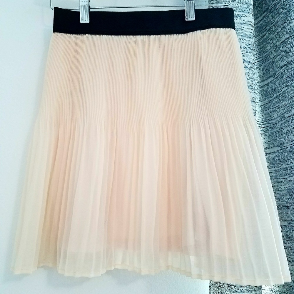 Light Pink Pleated Skirt