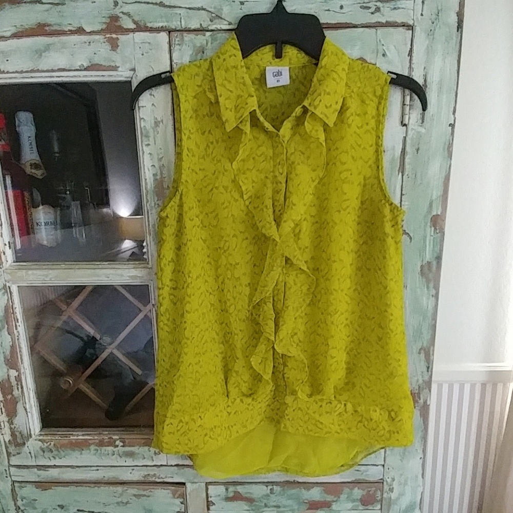 CAbi Reign Blouse Style #3071