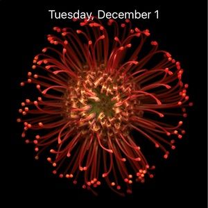 Meet your Posher, Ann