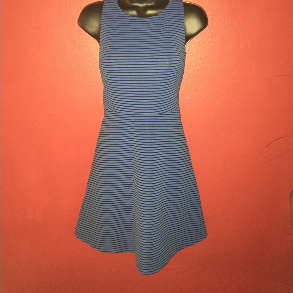 BCBG Adorable fit and flair dress