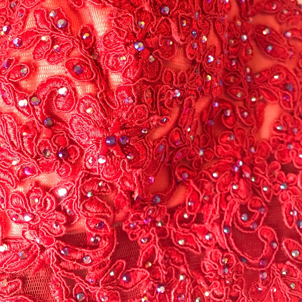 Ruby Red Dress - Picture 5 of 6