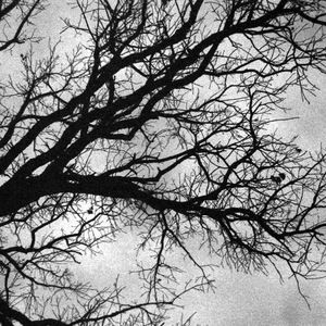 Meet your Posher, Adiina