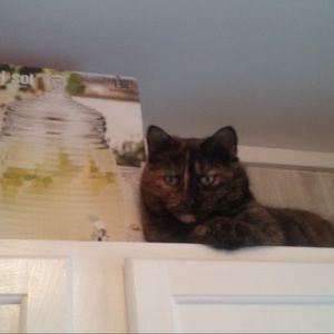 Meet your Posher, Beth