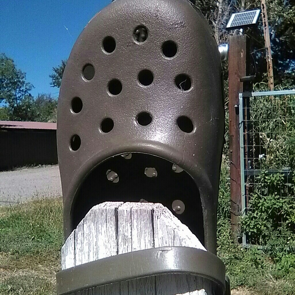 Authentic Crocs shoes.