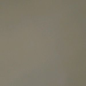 Meet your Posher, Barion