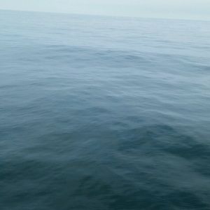 Meet your Posher, Marielys