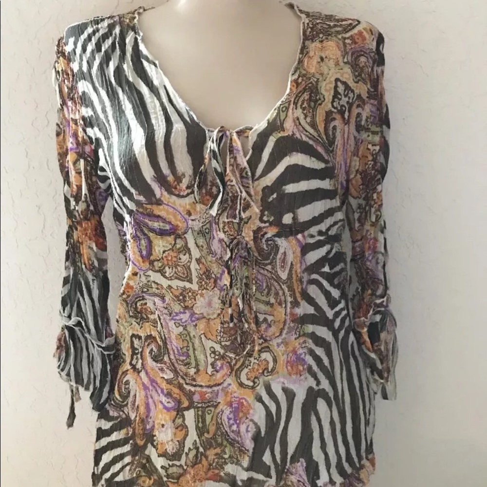 Gorgeous sheer violet and Claire V-neck blouse
