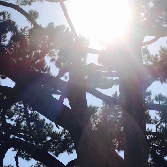 Meet your Posher, Mark - Picture 1 of 1