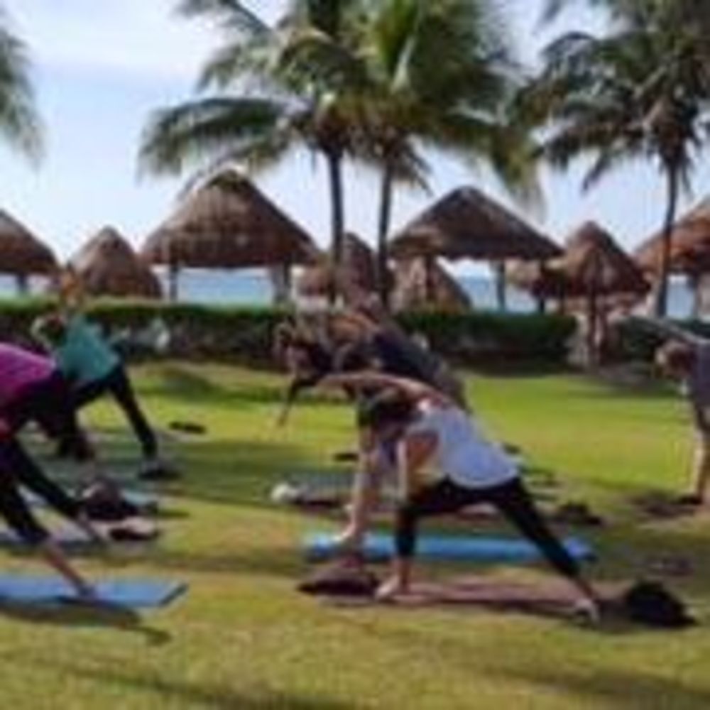 Meet your Posher, Ann