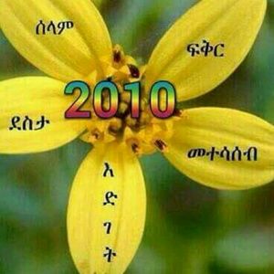 Meet your Posher, Betty