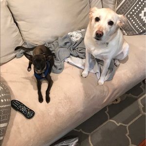 Meet your Posher, David