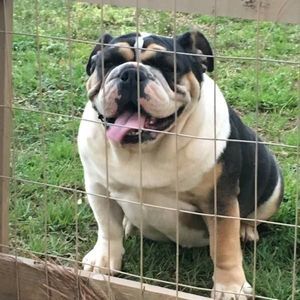 Meet your Posher, Bill