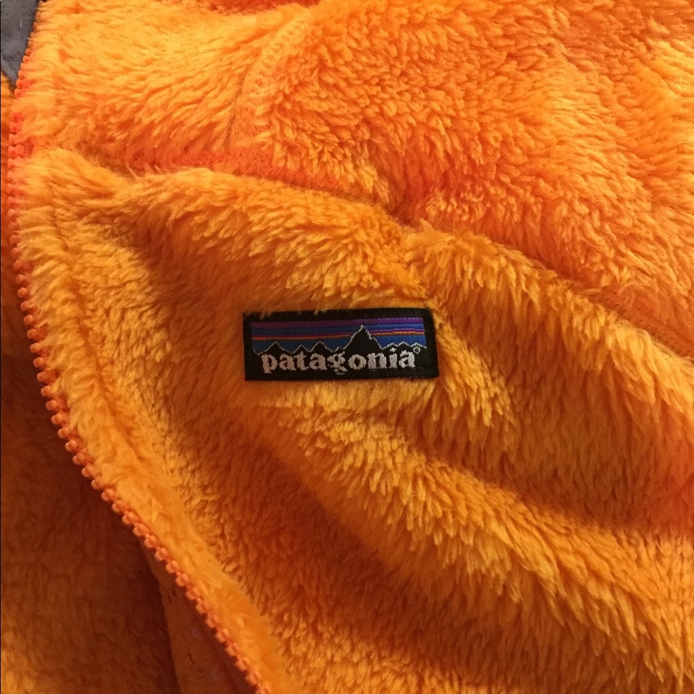 Fuzzy Patagonia