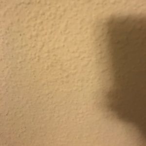 Meet your Posher, Daryl