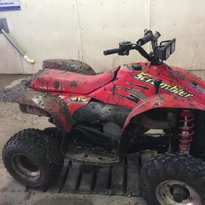 Meet your Posher, Brylee