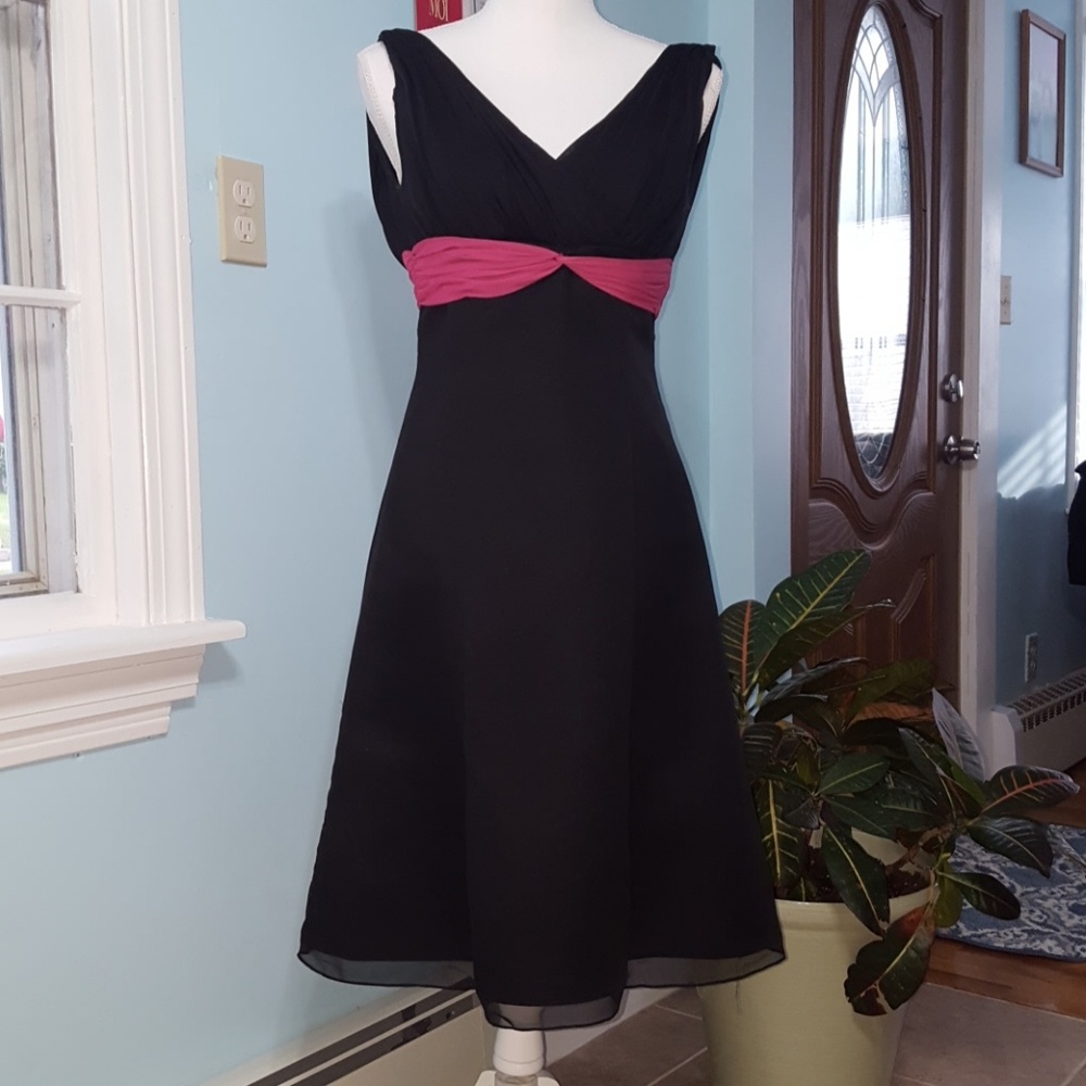 Eden Maids Black Dress