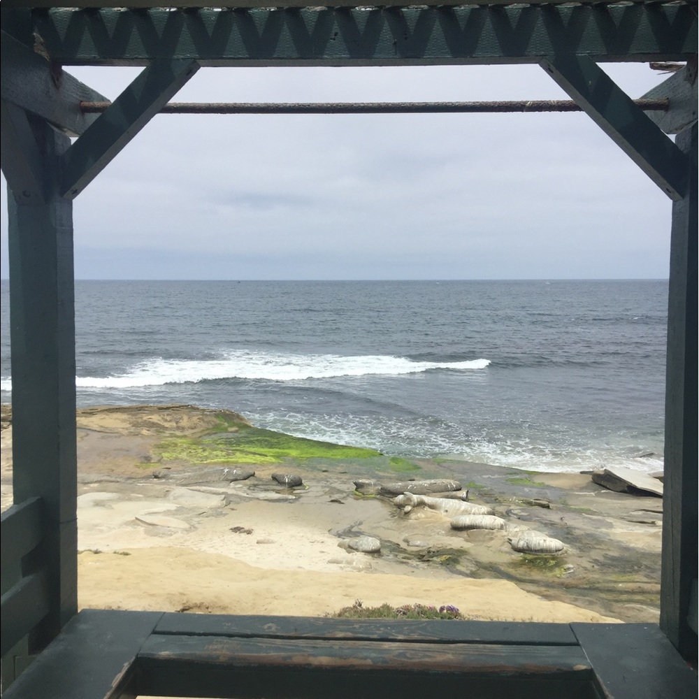 Meet your Posher, Rudy