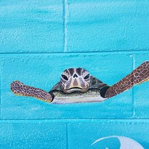 Meet your Posher, Karla