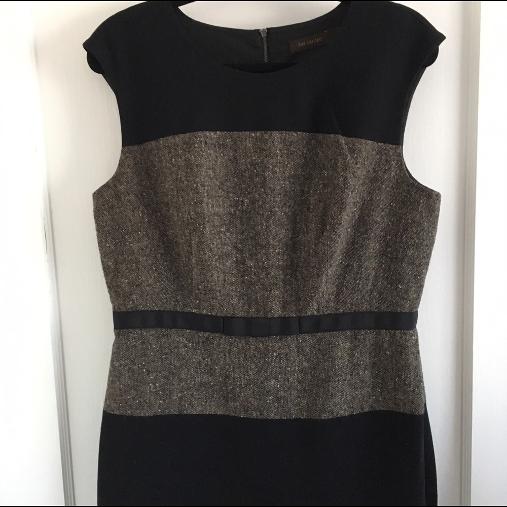 The Limited Professional Dress