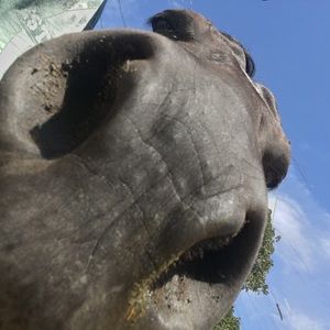 Meet your Posher, Jacob