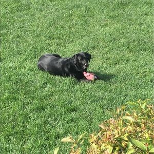 Meet your Posher, Ryan