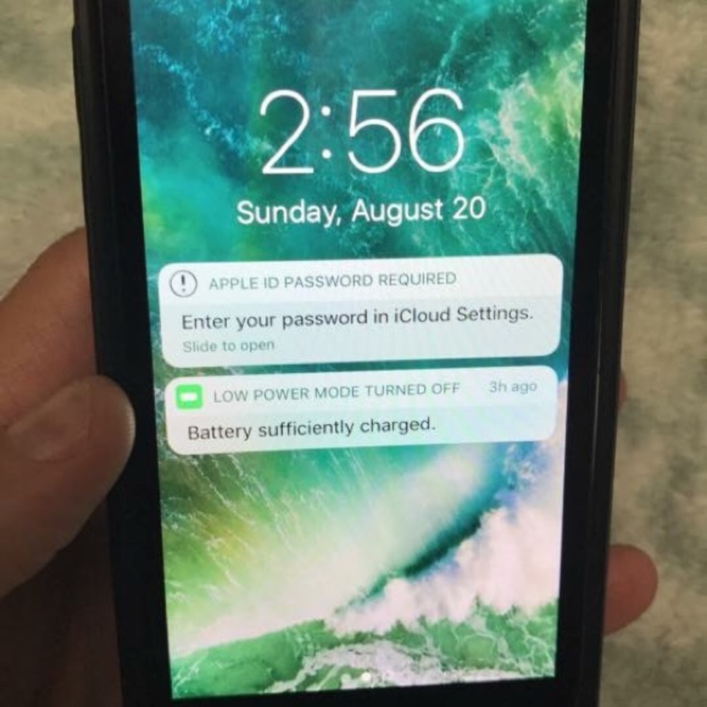 iPhone 5 c