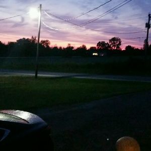 Meet your Posher, Brynn