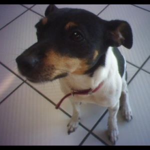 Meet your Posher, Shelly