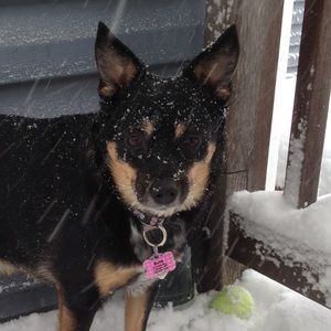 Meet your Posher, Lisa