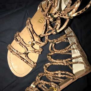 Gladiator sandal