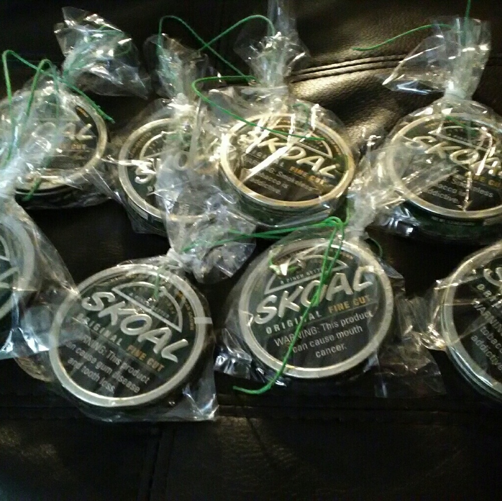 Skoal car air freshener