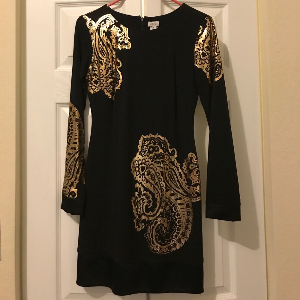 Beautiful Cache Dress