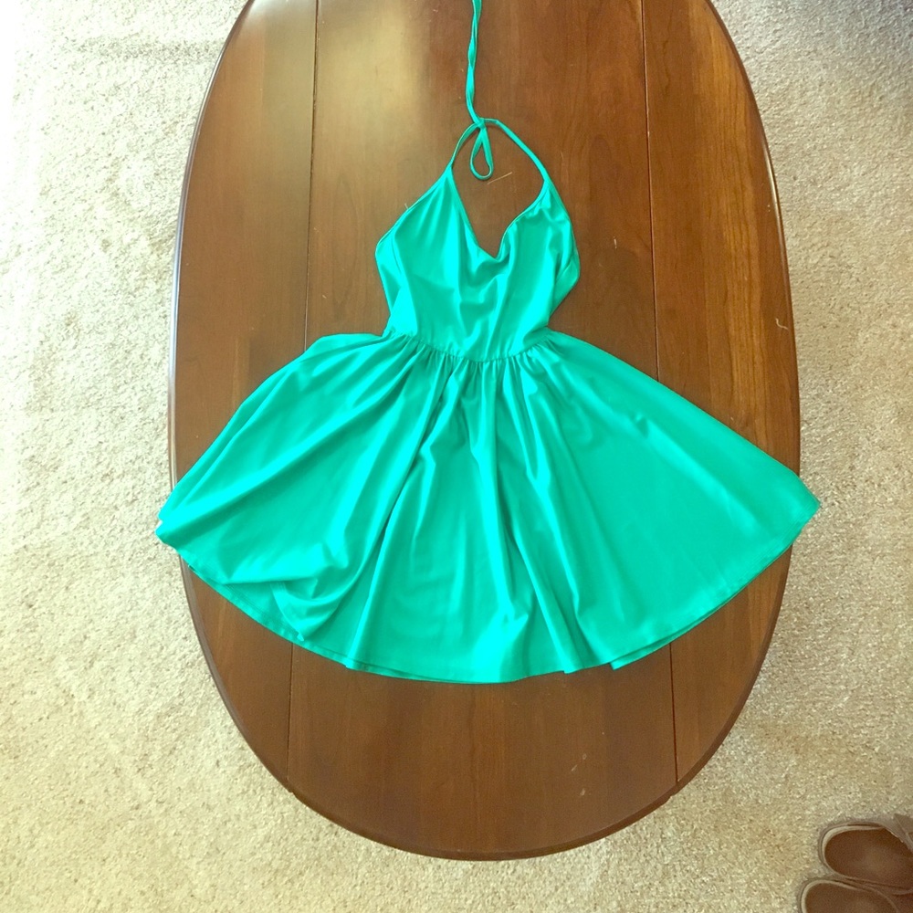 American Apparel Skater Dress