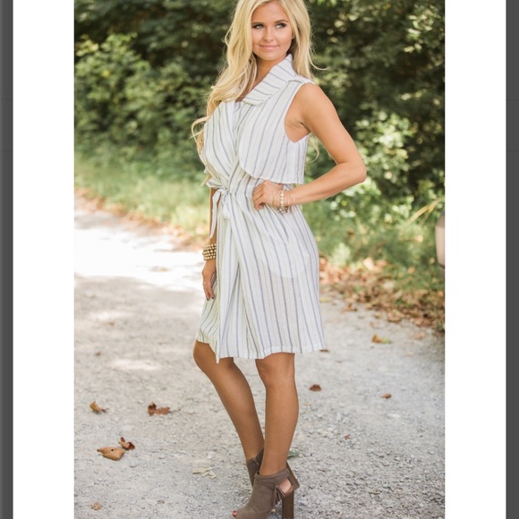 NWT Pink Lily "My Reliable Love" Striped Dress - Picture 5 of 5