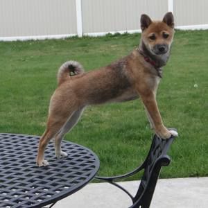 Meet your Posher, Joni