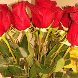 Meet your Posher, Diana