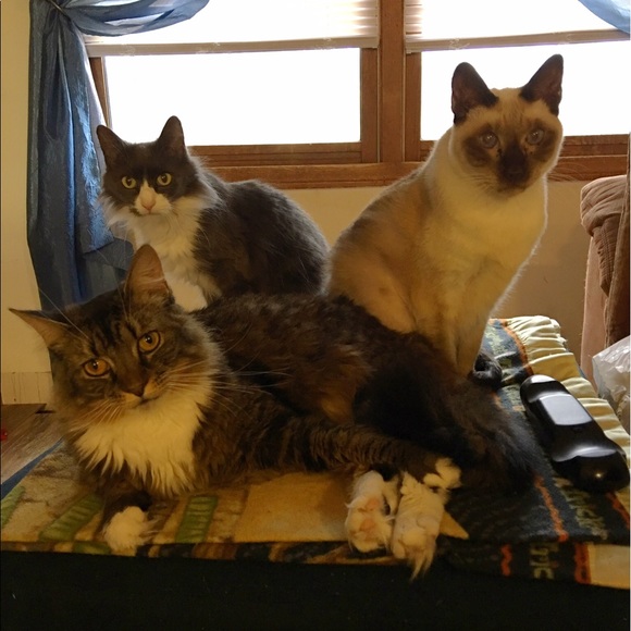 Meet your Posher, Jacki - Picture 1 of 1