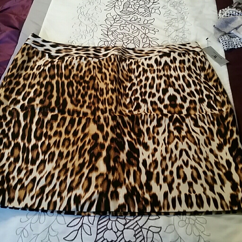 Ladies skirt