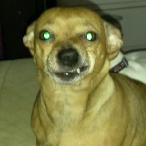 Meet your Posher, Tammy